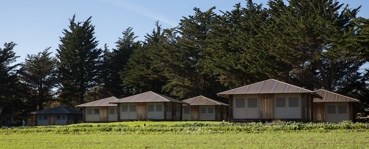 Tent cabins on the UCSC Farm