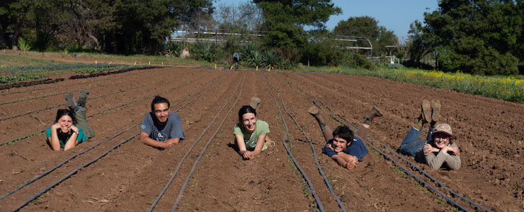 Students laying in the furrows of a field