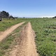 farm path