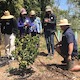 Participants learn about growing citrus from instructor Christof Bernau