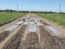 organic soil treatment research