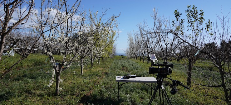 Video camera in the farm orchard