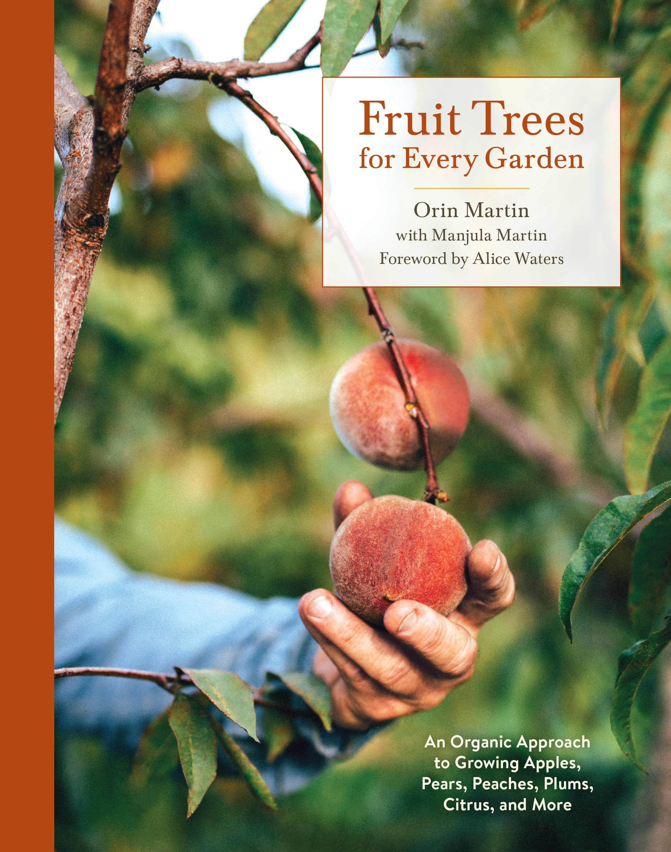 How to plant fruit trees in california