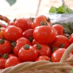 dry farmed tomatoes