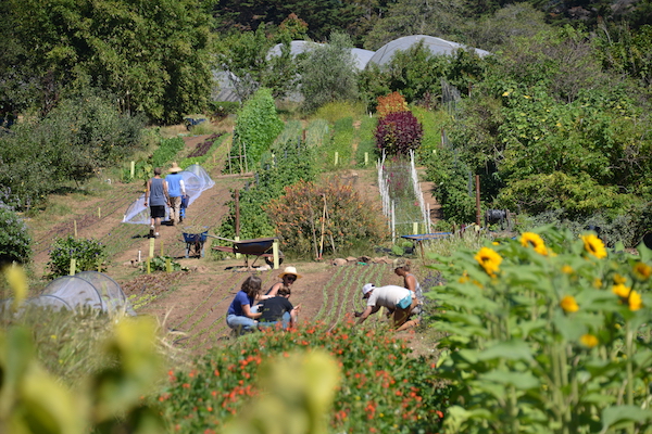 UCSC Farm and Alan Chadwick Garden